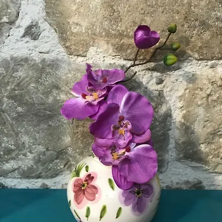 N&m - Diocletians Palace